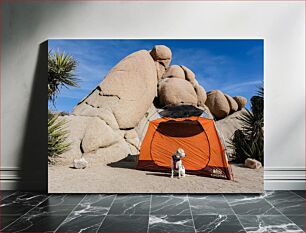 Πίνακας, Dog Camping by Rock Formations Dog Camping by Rock Formations