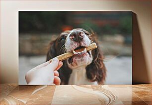 Πίνακας, Dog Enjoying a Treat Σκύλος που απολαμβάνει μια απόλαυση