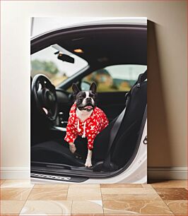 Πίνακας, Dog in a Car Wearing a Hoodie Σκύλος σε αυτοκίνητο φορώντας κουκούλα