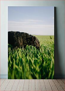 Πίνακας, Dog in a Field Σκύλος σε ένα χωράφι