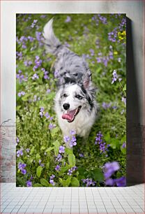 Πίνακας, Dog in a Field of Purple Flowers Σκύλος σε ένα χωράφι με μωβ λουλούδια