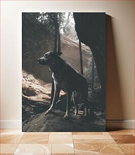Πίνακας, Dog in a Forest Σκύλος σε ένα δάσος