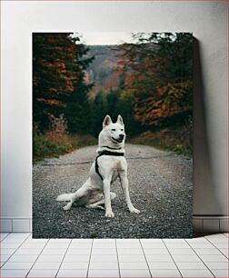 Πίνακας, Dog in a Forest Path Σκύλος σε μονοπάτι στο δάσος