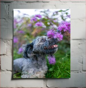 Πίνακας, Dog in a Garden with Purple Flowers Σκύλος σε έναν κήπο με μωβ λουλούδια