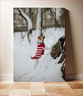 Πίνακας, Dog in a Red Sweater in Snow Σκύλος με κόκκινο πουλόβερ στο χιόνι