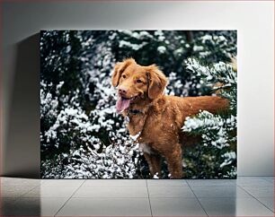 Πίνακας, Dog in a Snowy Forest Σκύλος σε ένα χιονισμένο δάσος