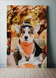 Πίνακας, Dog in Autumn Attire Σκύλος με Φθινοπωρινή Ενδυμασία