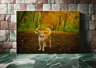 Πίνακας, Dog in Autumn Forest Σκύλος στο Φθινοπωρινό Δάσος