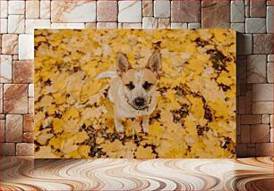 Πίνακας, Dog in Autumn Leaves Σκύλος στα φθινοπωρινά φύλλα