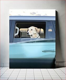 Πίνακας, Dog in Car Σκύλος στο αυτοκίνητο