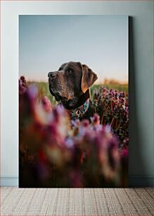 Πίνακας, Dog in Field of Flowers Σκύλος στο χωράφι των λουλουδιών