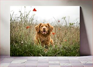 Πίνακας, Dog in Field of Wildflowers Σκύλος στο χωράφι με αγριολούλουδα