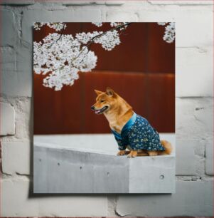 Πίνακας, Dog in Floral Kimono with Blossoms Σκύλος με λουλουδάτο κιμονό με άνθη