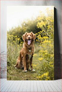 Πίνακας, Dog in Nature Σκύλος στη φύση