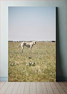 Πίνακας, Dog in Open Field Σκύλος σε ανοιχτό πεδίο