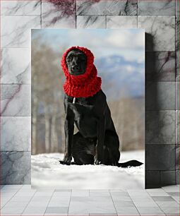Πίνακας, Dog in Red Scarf in Snowy Landscape Σκύλος με κόκκινο κασκόλ σε χιονισμένο τοπίο