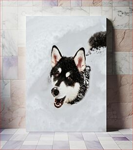 Πίνακας, Dog in Snow Σκύλος στο χιόνι