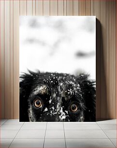 Πίνακας, Dog in Snow Σκύλος στο χιόνι