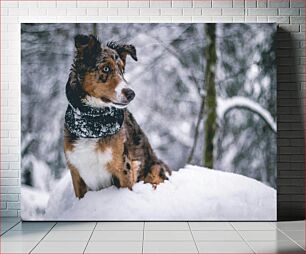 Πίνακας, Dog in Snowy Forest Σκύλος στο Χιονισμένο Δάσος