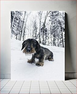 Πίνακας, Dog in Snowy Forest Σκύλος στο Χιονισμένο Δάσος