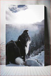 Πίνακας, Dog in Snowy Landscape Σκύλος στο χιονισμένο τοπίο