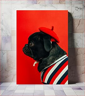 Πίνακας, Dog in Striped Sweater and Red Beret Σκύλος με ριγέ πουλόβερ και κόκκινο μπερέ
