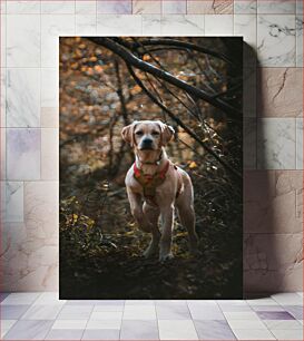 Πίνακας, Dog in the Forest Σκύλος στο Δάσος