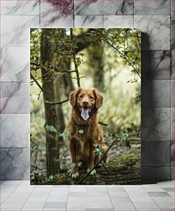 Πίνακας, Dog in the Forest Σκύλος στο Δάσος