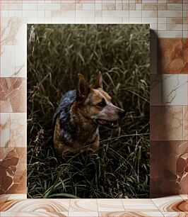 Πίνακας, Dog in the Grass Σκύλος στο γρασίδι