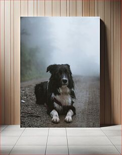 Πίνακας, Dog in the Mist Σκύλος στην Ομίχλη