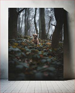 Πίνακας, Dog in the Misty Forest Σκύλος στο ομιχλώδες δάσος