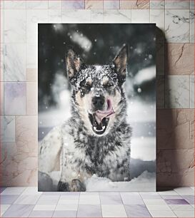 Πίνακας, Dog in the Snow Σκύλος στο χιόνι
