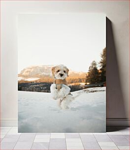 Πίνακας, Dog in the Snowy Mountain Σκύλος στο χιονισμένο βουνό
