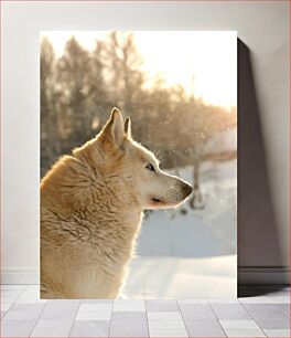 Πίνακας, Dog in the Snowy Sunlight Σκύλος στο χιονισμένο φως του ήλιου