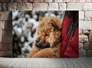 Πίνακας, Dog in Winter Σκύλος το χειμώνα