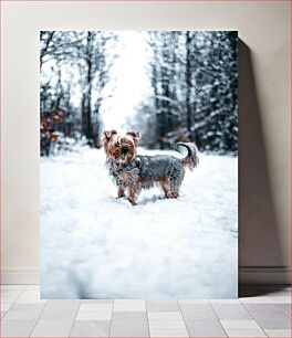 Πίνακας, Dog in Winter Wonderland Σκύλος στη χώρα των θαυμάτων του χειμώνα