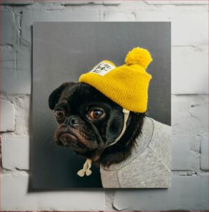 Πίνακας, Dog in Yellow Hat Σκύλος με κίτρινο καπέλο