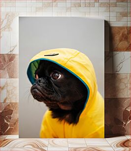 Πίνακας, Dog in Yellow Raincoat Σκύλος με κίτρινο αδιάβροχο