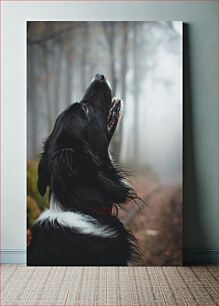 Πίνακας, Dog Looking Up in Misty Forest Σκύλος που ψάχνει στο Misty Forest