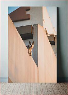 Πίνακας, Dog on a Balcony Σκύλος σε μπαλκόνι