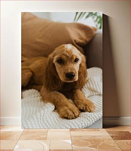 Πίνακας, Dog on a Cozy Blanket Σκύλος σε μια άνετη κουβέρτα