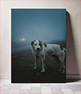 Πίνακας, Dog on a Foggy Path Σκύλος σε ομιχλώδες μονοπάτι