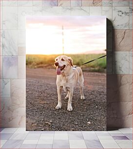 Πίνακας, Dog on a Leash at Sunset Σκύλος με λουρί στο ηλιοβασίλεμα