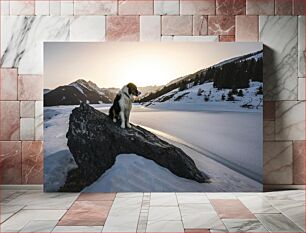 Πίνακας, Dog on a Snowy Mountain Σκύλος σε ένα χιονισμένο βουνό