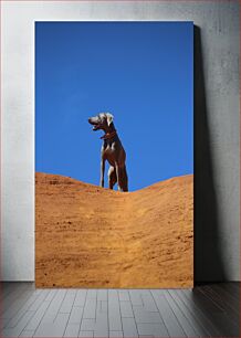 Πίνακας, Dog on Sandy Hill Σκύλος στο Sandy Hill