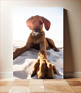 Πίνακας, Dog on the Beach Σκύλος στην παραλία