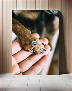 Πίνακας, Dog Paw and Human Hand with Paw Ring Πόδι σκύλου και ανθρώπινο χέρι με δαχτυλίδι ποδιών