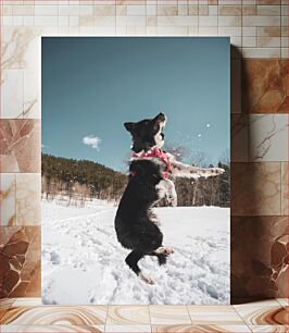 Πίνακας, Dog Playing in Snow Σκύλος που παίζει στο χιόνι