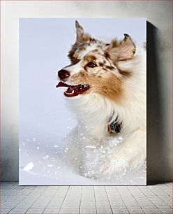 Πίνακας, Dog Playing in Snow Σκύλος που παίζει στο χιόνι