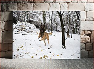 Πίνακας, Dog Playing in Snowy Forest Σκύλος που παίζει στο Χιονισμένο Δάσος